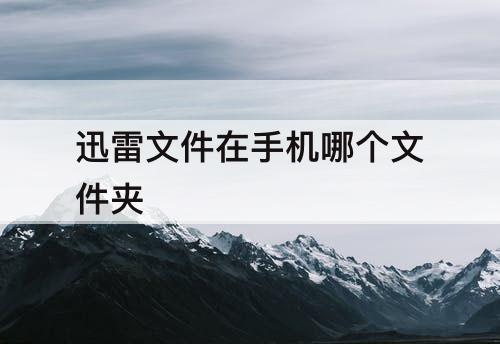 迅雷文件在手机哪个文件夹