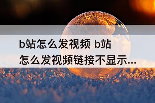 b站怎么发视频 b站怎么发视频链接不显示名字