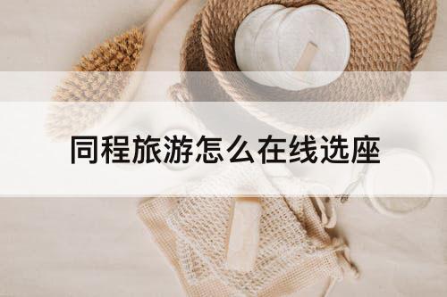 同程旅游怎么在线选座