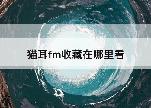 猫耳fm收藏在哪里看