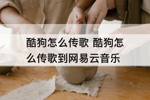 酷狗怎么传歌 酷狗怎么传歌到网易云音乐
