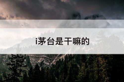 i茅台是干嘛的
