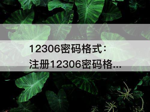 12306密码格式：注册12306密码格式怎么填写