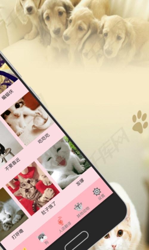 人猫交流器狗语  v3.5图2