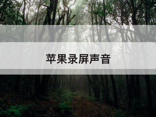 苹果录屏声音