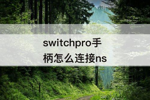 switchpro手柄怎么连接ns