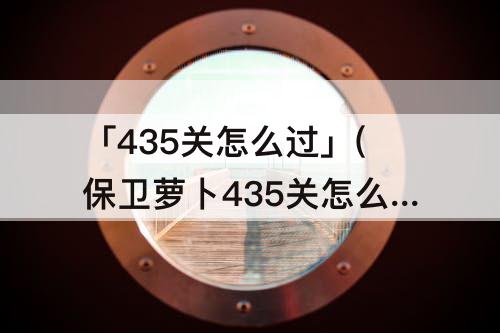 「435关怎么过」(保卫萝卜435关怎么过)