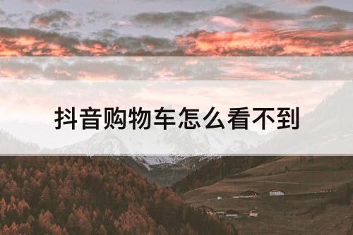 抖音购物车怎么看不到