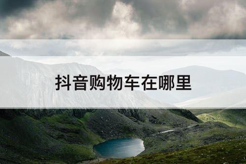 抖音购物车在哪里