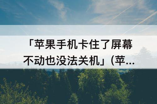 「苹果手机卡住了屏幕不动也没法关机」(苹果手机卡住了屏幕不动也没法关机是怎么回事)