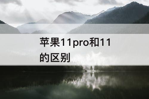 苹果11pro和11的区别
