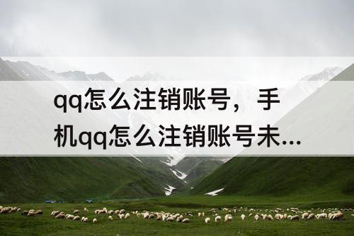 qq怎么注销账号，手机qq怎么注销账号未登满15天