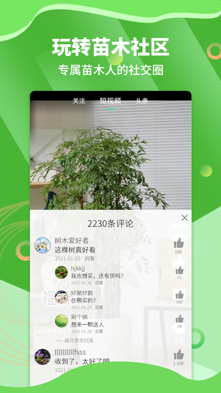 苗木通  v5.11.8图2