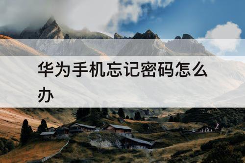 华为手机忘记密码怎么办