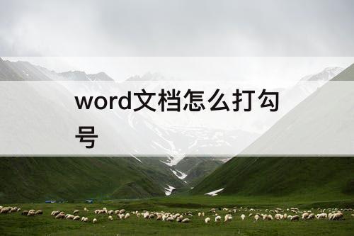 word文档怎么打勾号
