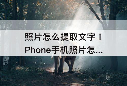 照片怎么提取文字 iPhone手机照片怎么提取文字