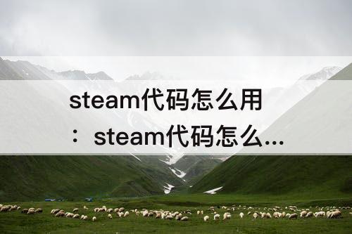 steam代码怎么用：steam代码怎么用mac