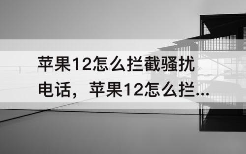 苹果12怎么拦截骚扰电话，苹果12怎么拦截骚扰电话怎么设置