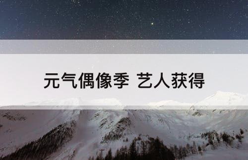 元气偶像季 艺人获得