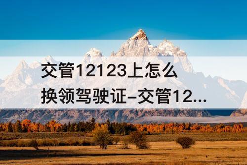 交管12123上怎么换领驾驶证-交管12123上怎么换领驾驶证后用领取纸的驾驶证吗