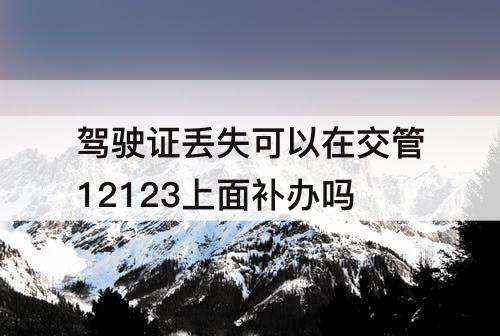 驾驶证丢失可以在交管12123上面补办吗