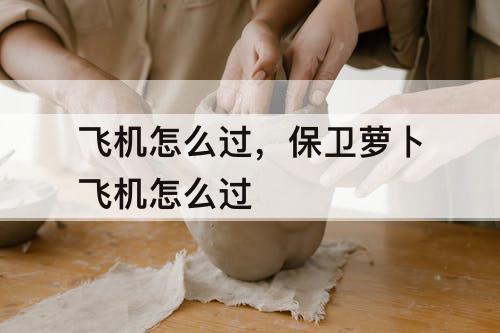 飞机怎么过，保卫萝卜飞机怎么过