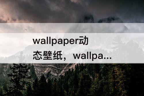 wallpaper动态壁纸，wallpaper动态壁纸导出为视频