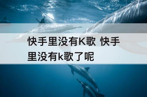 快手里没有K歌 快手里没有k歌了呢