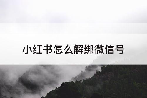 小红书怎么解绑微信号
