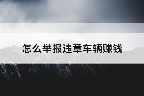怎么举报违章车辆赚钱