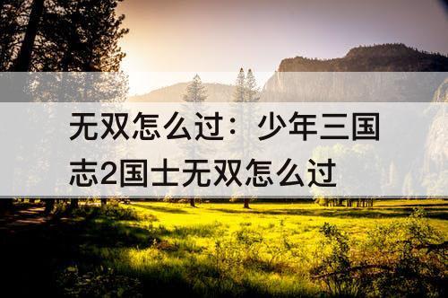 无双怎么过：少年三国志2国士无双怎么过