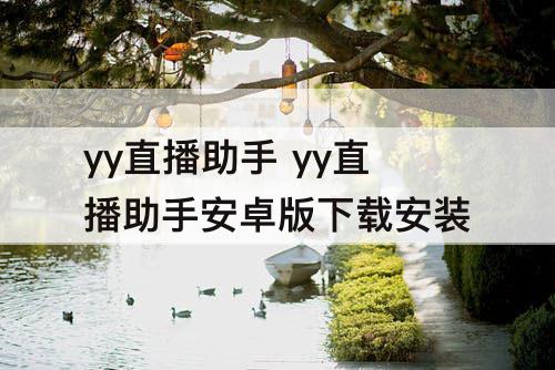 yy直播助手 yy直播助手安卓版下载安装