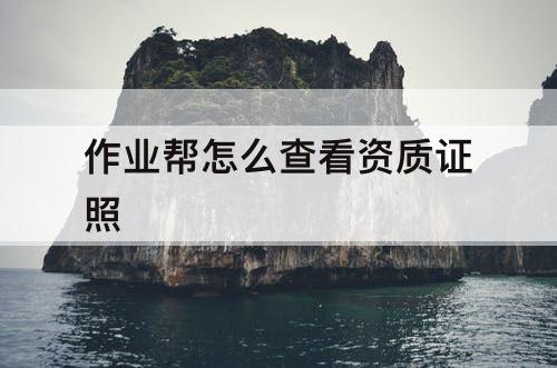 作业帮怎么查看资质证照