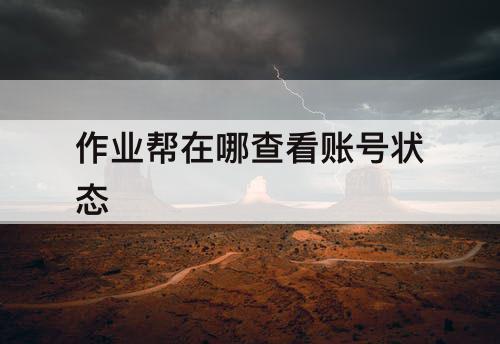 作业帮在哪查看账号状态