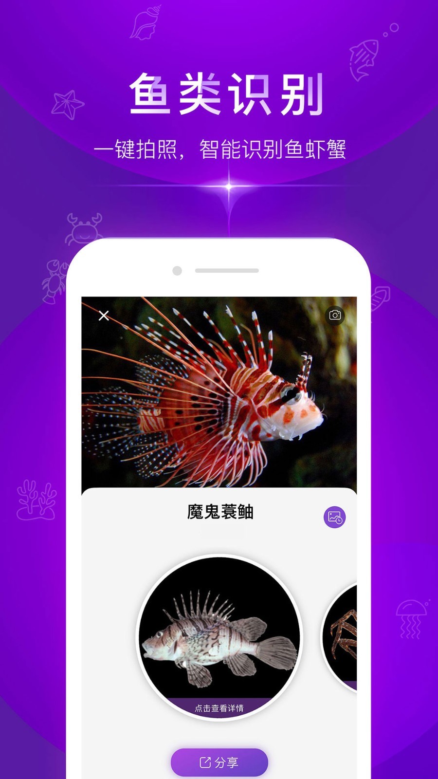 问鱼  v1.1.7图4