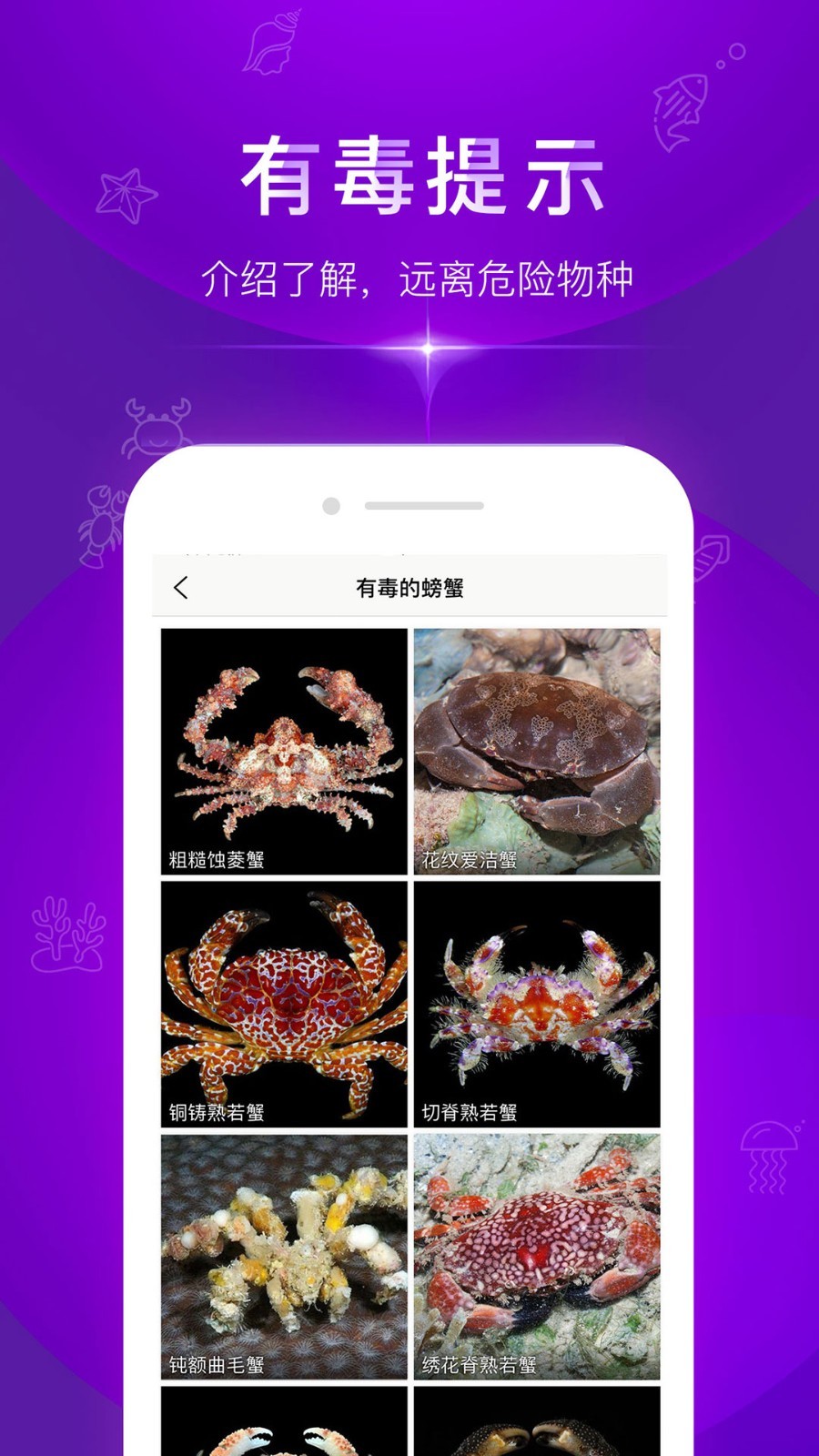 问鱼  v1.1.7图5