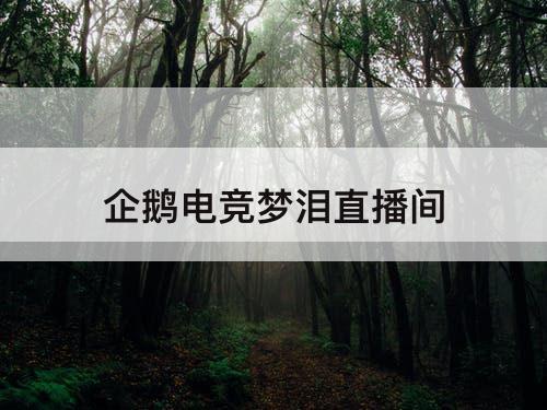 企鹅电竞梦泪直播间