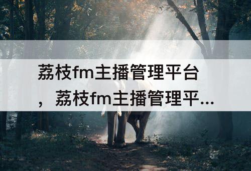 荔枝fm主播管理平台，荔枝fm主播管理平台网页
