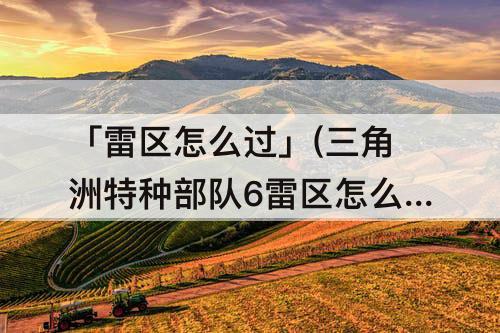 「雷区怎么过」(三角洲特种部队6雷区怎么过)
