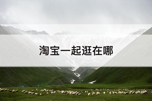 淘宝一起逛在哪