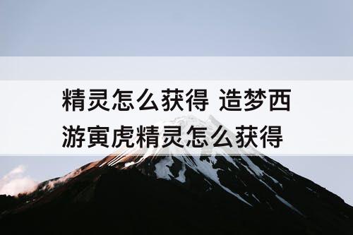 精灵怎么获得 造梦西游寅虎精灵怎么获得