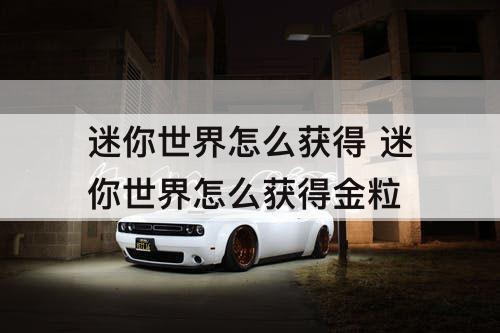 迷你世界怎么获得 迷你世界怎么获得金粒