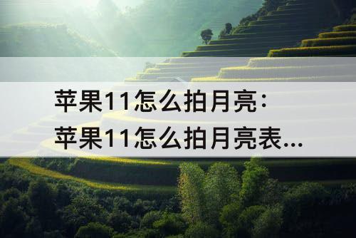 苹果11怎么拍月亮：苹果11怎么拍月亮表面