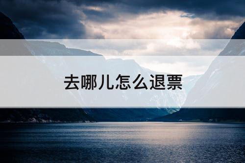 去哪儿怎么退票