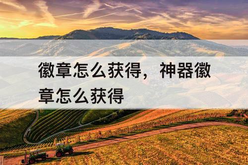 徽章怎么获得，神器徽章怎么获得
