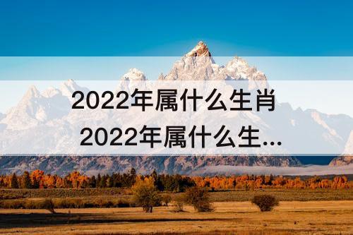 2022年属什么生肖 2022年属什么生肖属相冲