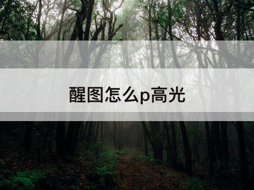 醒图怎么p高光