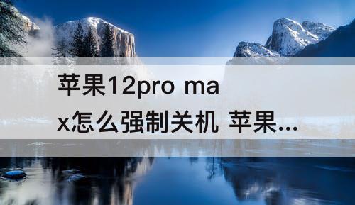 苹果12pro max怎么强制关机 苹果12pro max怎么强制关机重启