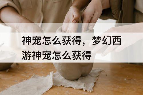 神宠怎么获得，梦幻西游神宠怎么获得