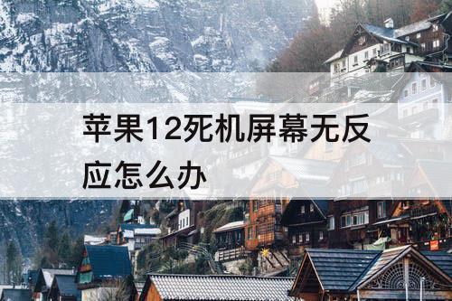 苹果12死机屏幕无反应怎么办